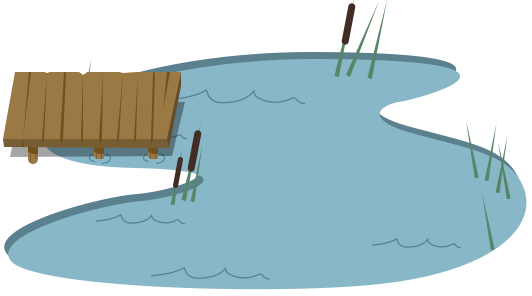 pond